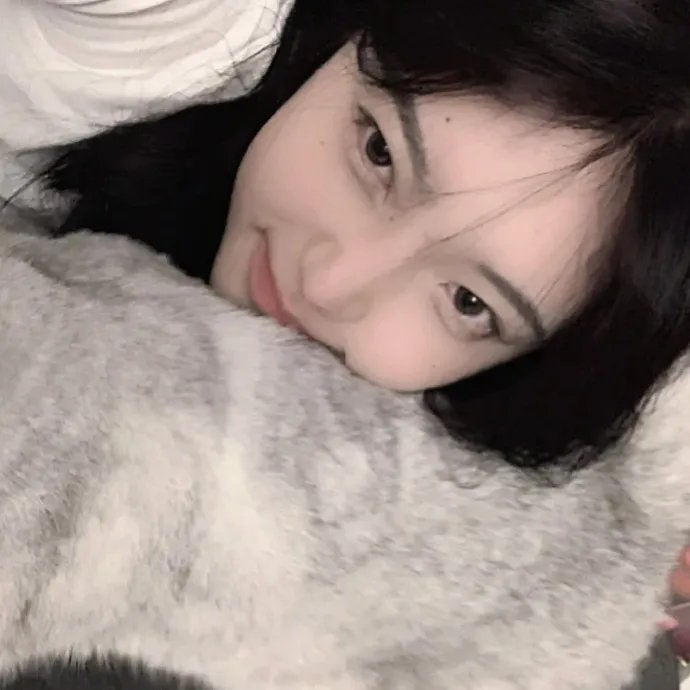 王冠的游戏:都铎家族